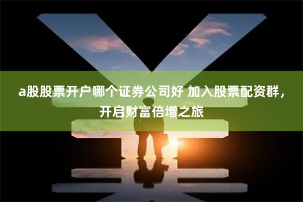 a股股票开户哪个证券公司好 加入股票配资群，开启财富倍增之旅